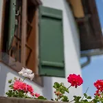 Nózsi-hegyi Apartman Patca